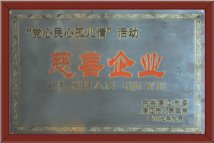 慈善企业