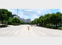 湛江霞山绿塘路